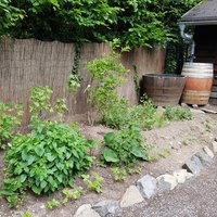 20220610_Projekt 3_1