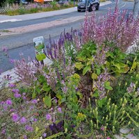 20230704_Projekt 4_72