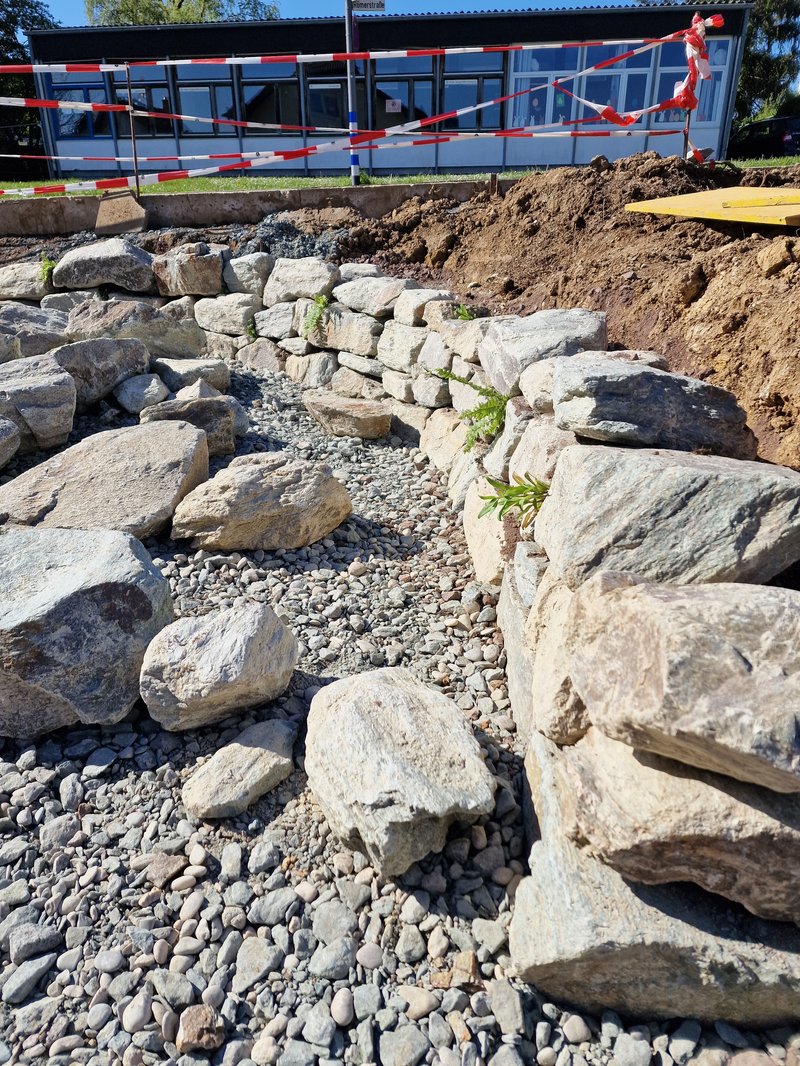 Trockenmauern während des Baus bepflanzen