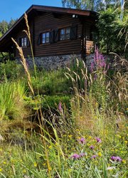 Am Holzhaus, Teich ausgeführt von Sebastian Ripp (2)