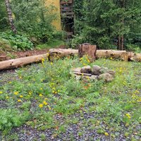 Blumenschotterrasen (2)