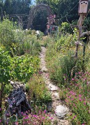 Mehrfache Gartenberatungen führten zu großer Eigeninitiative der Eigentümer bei der naturnahen Umgestaltung des Neubau-Hanggrundstücks für eine große junge Familie.