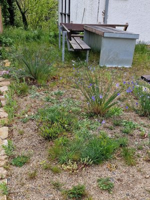 Ev. Kirche Burgholzhausen, Blumenschotterrasen