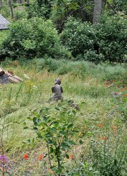 Wegen Trockenheit abgestorbene hohe Fichten wurden nach Geländemodellierung durch eine lange Wildstrauchhecke mit Staudensaum und Sitzplatz in einen naturnahen Waldrand mit Blumenkräuterrasen davor verwandelt.