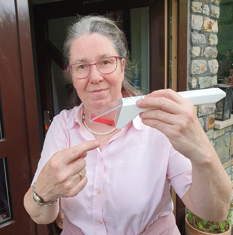 Tiere pflanzen: Pflanze-Tier Abhängigkeiten erkennen und fördern