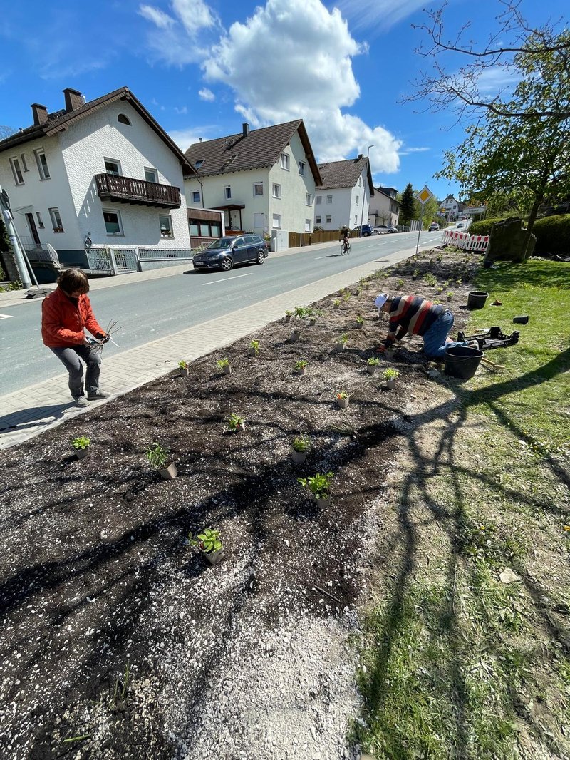 Bürger lernen bei einer Mitmachbaustelle, wie man ein Magerbeet bepflanzt