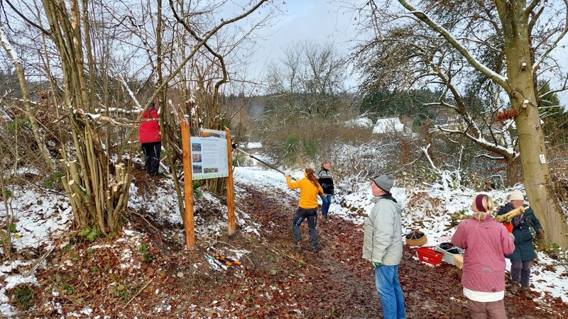 Heckenpflege naturnah angeleitet