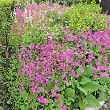 Kirchgarten St. Sebastian nachher