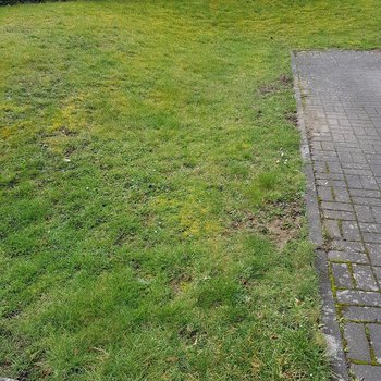 Kirchgarten St. Sebastian vorher