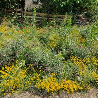 Saum mit Bauhof Gemeinde Schmitten