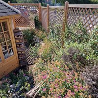 Senkgarten ausgeführt von Niklas Dahl und Tim Moses-Berbott