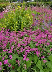 Katholische Kirche St. Sebastian