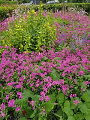 Katholische Kirche St. Sebastian