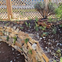 Trockenmauer ausgeführt von Niklas Dahl(2)