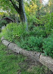 Waldlichtung, mit Bernhardt Erdbau, Avdagi Erhan