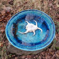 Wasserschale 20241125